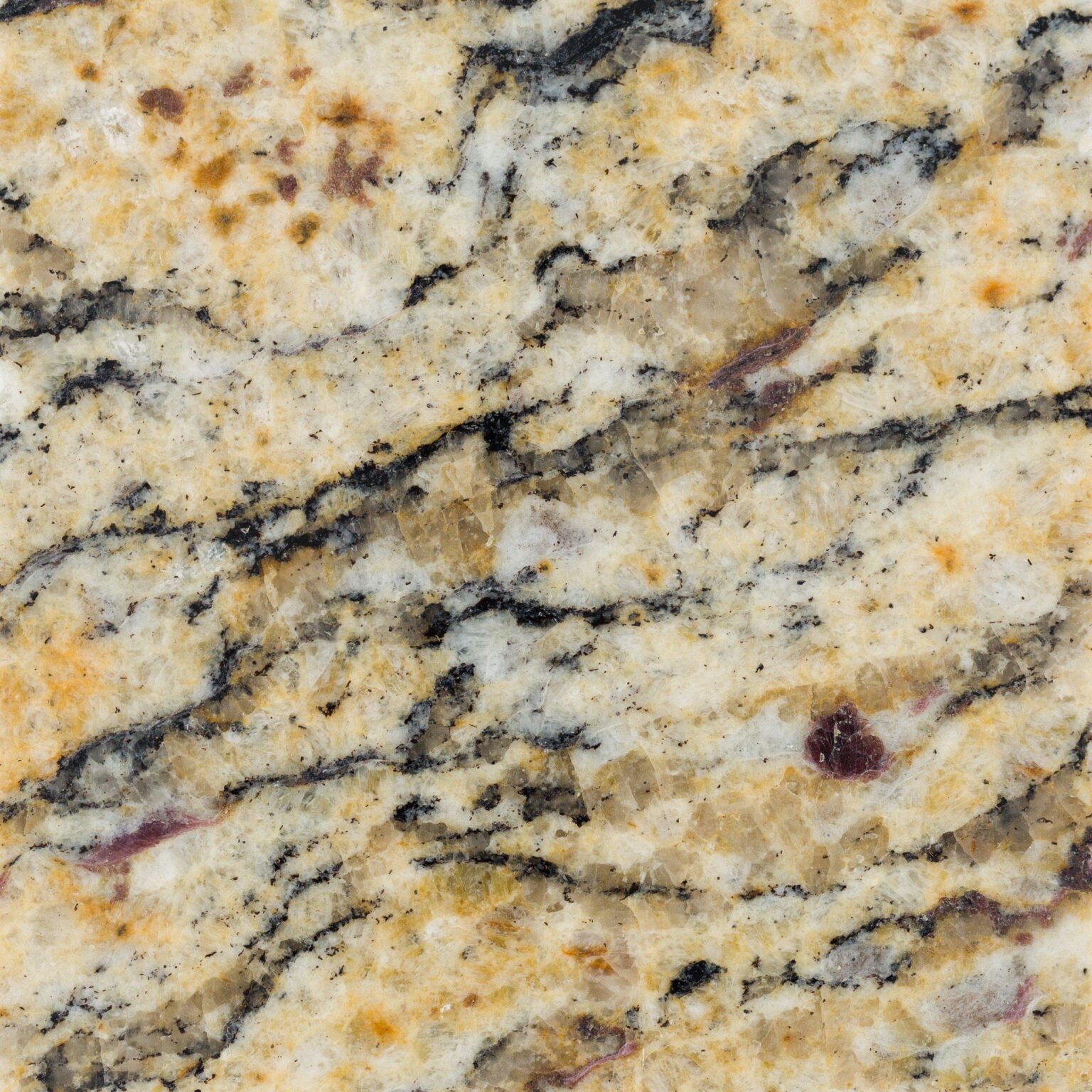 Santa Cecilia Granite | Granite Countertops |Rock Solid Creations